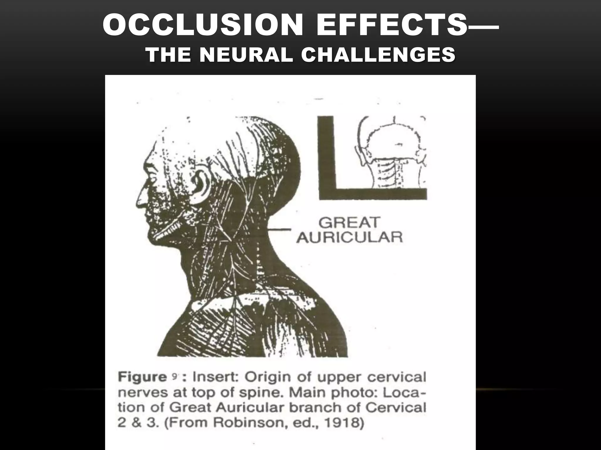 OCCLUSION EFFECTS—
 THE NEURAL CHALLENGES
 