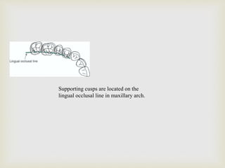 Occlusion in conservative dentistry | PPTX