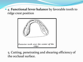  4. Functional lever balance by favorable tooth to
ridge crest position
5. Cutting, penetrating and shearing efficiency of
the occlusal surface.
 