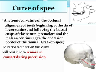 Curve of spee
‘ Anatomic curvature of the occlusal
alignment of teeth beginning at the tip of
lower canine and following the buccal
cusps of the natural premolars and the
molars, continuing to the anaterior
border of the ramus’ (Graf von spee)
Posterior teeth set on this curve
will continue to remain in
contact during protrusion
 
