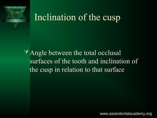 Inclination of the cusp
Angle between the total occlusal
surfaces of the tooth and inclination of
the cusp in relation to that surface
www.asiandentalacademy.orgwww.asiandentalacademy.org
 