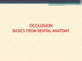 OCCLUSION
BASICS FROM DENTAL ANATOMY
 
