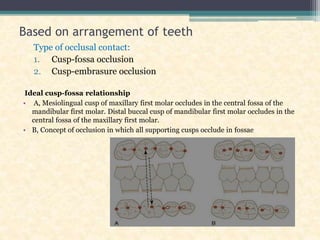 Based on arrangement of teeth
Type of occlusal contact:
1. Cusp-fossa occlusion
2. Cusp-embrasure occlusion
Ideal cusp-fossa relationship
• A, Mesiolingual cusp of maxillary first molar occludes in the central fossa of the
mandibular first molar. Distal buccal cusp of mandibular first molar occludes in the
central fossa of the maxillary first molar.
• B, Concept of occlusion in which all supporting cusps occlude in fossae
 