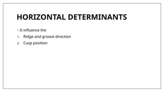 HORIZONTAL DETERMINANTS
• It influence the
1. Ridge and groove direction
2. Cusp position
 