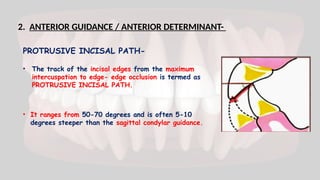 2. ANTERIOR GUIDANCE / ANTERIOR DETERMINANT-
PROTRUSIVE INCISAL PATH-
• The track of the incisal edges from the maximum
intercuspation to edge- edge occlusion is termed as
PROTRUSIVE INCISAL PATH.
• It ranges from 50-70 degrees and is often 5-10
degrees steeper than the sagittal condylar guidance.
 
