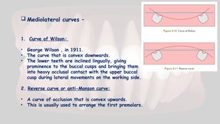  Mediolateral curves –
1. Curve of Wilson:
• George Wilson , in 1911.
• The curve that is convex downwards.
• The lower teeth are inclined lingually, giving
prominence to the buccal cusps and bringing them
into heavy occlusal contact with the upper buccal
cusp during lateral movements on the working side.
2. Reverse curve or anti-Monson curve:
• A curve of occlusion that is convex upwards.
• This is usually used to arrange the first premolars.
 