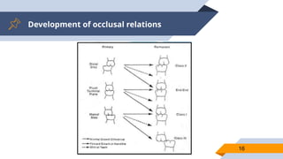 Development of occlusal relations
16
 