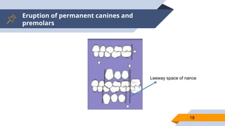 Eruption of permanent canines and
premolars
18
Leeway space of nance
 
