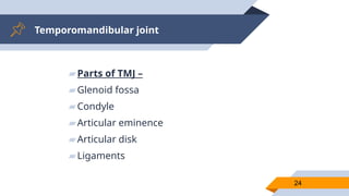 Temporomandibular joint
▰Parts of TMJ –
▰Glenoid fossa
▰Condyle
▰Articular eminence
▰Articular disk
▰Ligaments
24
 