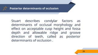 Posterior determinants of occlusion
29
Stuart describes condylar factors as
determinants of occlusal morphology and
effect on acceptable cusp height and fossa
depth and allowable ridge and groove
direction of teeth, called as posterior
determinants of occlusion .
 