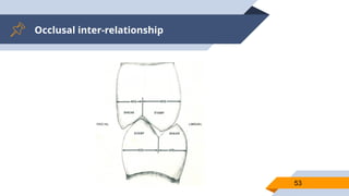 Occlusal inter-relationship
53
 