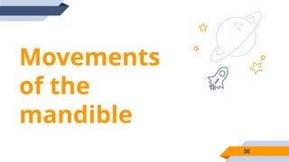 Movements
of the
mandible
56
 