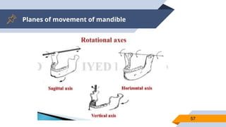 Planes of movement of mandible
57
 