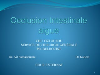 CHU TIZI OUZOU
SERVICE DE CHIRURGIE GÉNÉRALE
PR .BELHOCINE
Dr. Ait hamadouche Dr Kadem
COUR EXTERNAT
1
 