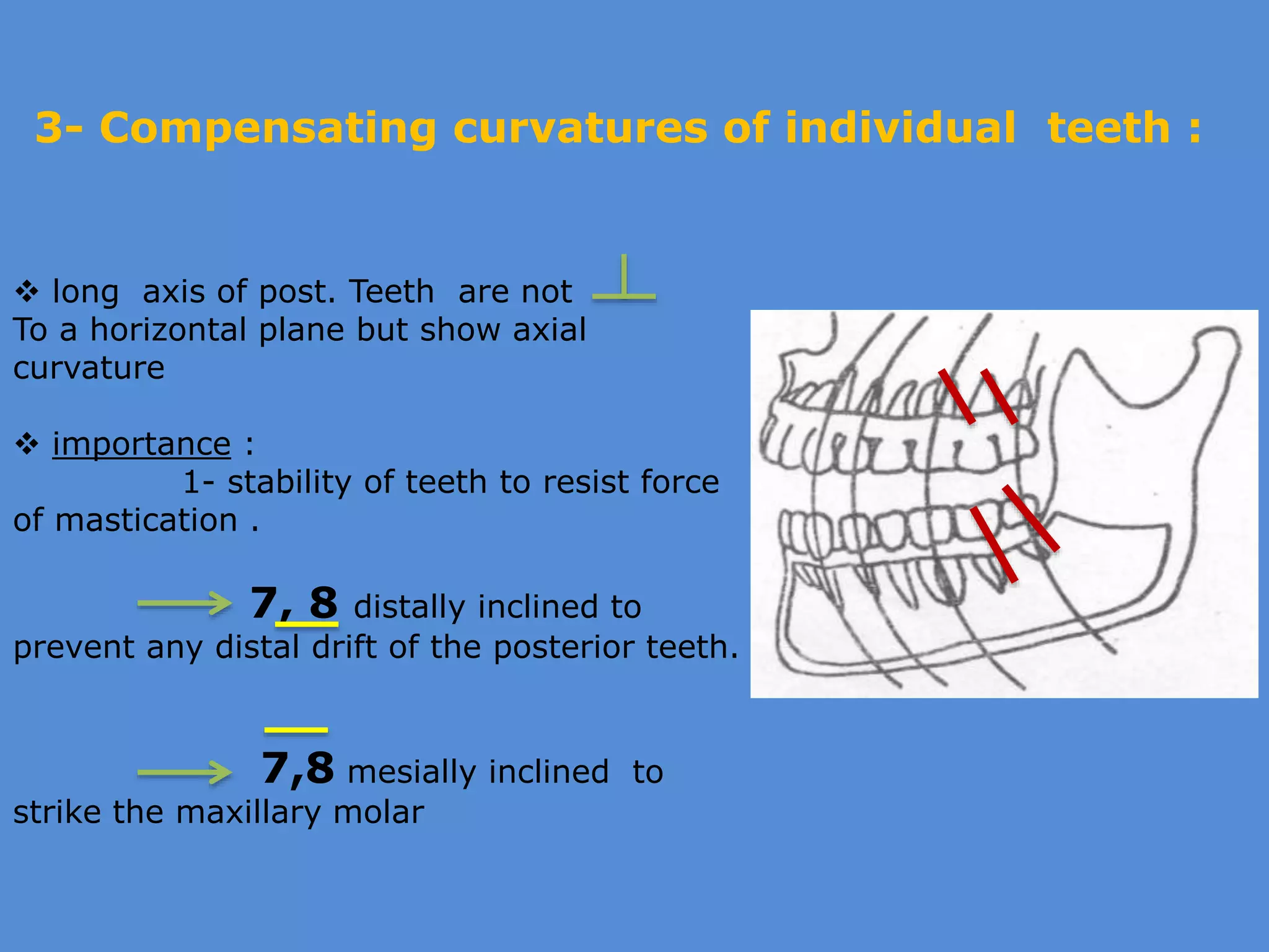 ]Dental Occlusion part 1 | PPTX