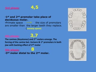 ]Dental Occlusion part 1 | PPTX