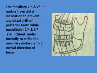 ]Dental Occlusion part 1 | PPT