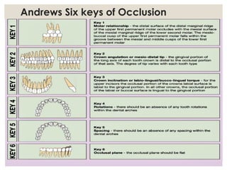 OCCLUSION PERIODONTIUM pptx 2025 April PPTX occlusion-periodontium-pptx-2025-april-pptx