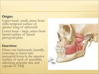 Origin:
Upper head- small, arises from
infra temporal surface of
greater wing of sphenoid.
Lower head – large, arises from
lateral surface of lateral
pterygoid plate.

Insertion:
Fibres run backwards, laterally,
converge to insert into
pterygoid fovea in the anterior
surface of neck of mandible,
adjoining articular disc and
capsule of TMJ.
 