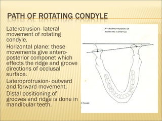 Laterotrusion- lateral
movement of rotating
condyle.
Horizontal plane: these
movements give antero-
posterior componet which
effects the ridge and groove
directions of occlusal
surface.
Lateroprotrusion- outward
and forward movement.
Distal positioning of
grooves and ridge is done in
mandibular teeth.
 
