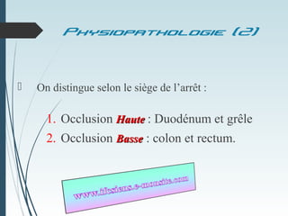 Occlusions intestinales-aiguës | PPT