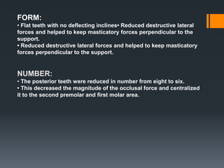 FORM:
• Flat teeth with no deflecting inclines• Reduced destructive lateral
forces and helped to keep masticatory forces perpendicular to the
support.
• Reduced destructive lateral forces and helped to keep masticatory
forces perpendicular to the support.
NUMBER:
• The posterior teeth were reduced in number from eight to six.
• This decreased the magnitude of the occlusal force and centralized
it to the second premolar and first molar area.
 
