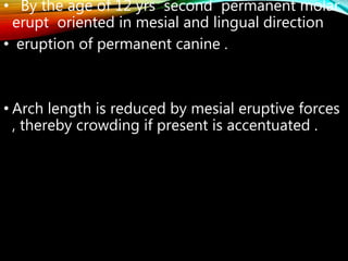 • By the age of 12 yrs second permanent molar
erupt oriented in mesial and lingual direction
• eruption of permanent canine .
• Arch length is reduced by mesial eruptive forces
, thereby crowding if present is accentuated .
 
