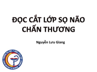 Nguyễn Lưu Giang
 