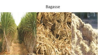 Occupational Health part 1