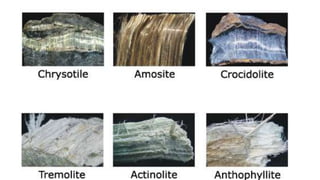 Occupational Health part 1