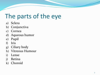 The parts of the eye
a) Sclera
b) Conjunctiva
c) Cornea
d) Aqueous humor
e) Pupil
f) Iris
g) Ciliary body
h) Vitreous Humour
i) Lense
j) Retina
k) Choroid
7
 