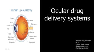 Ocular drug
delivery systems
Prepare and presented
by :-
Kishan singh tomar
Under guidance of
Ms. Bhargavi mistry
21-03-2024 1
 