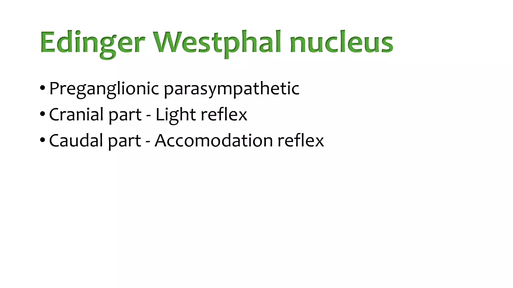 OCCULOMOTOR NERVE PALSY.pptx