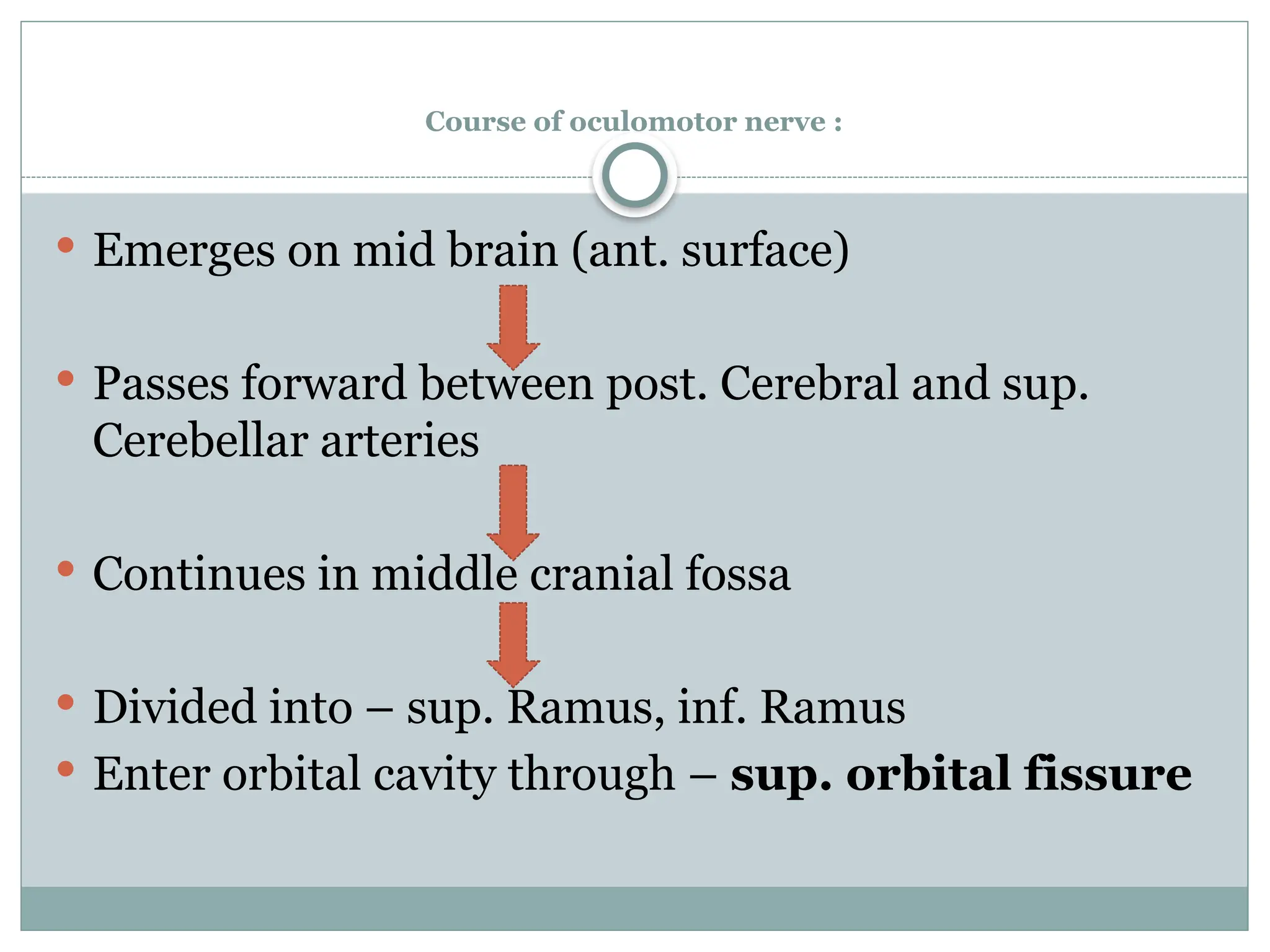 Occulomotor ,Trochlear and Abducens Nerve.pptx