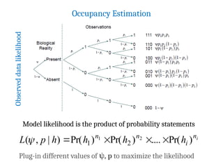 Occupancy Sampling and Modeling Species D.pptx