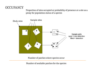 Patch Occupancy Model Occupancy Sampling and Modeling Species D.pptx