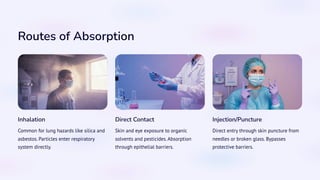 Occupational-Toxicology-Understanding-Workplace-Hazards.pdf
