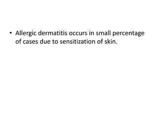 • Allergic dermatitis occurs in small percentage
of cases due to sensitization of skin.
