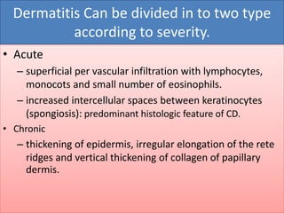 Dermatitis Can be divided in to two type 
according to severity. 
• Acute 
– superficial per vascular infiltration with lymphocytes, 
monocots and small number of eosinophils. 
– increased intercellular spaces between keratinocytes 
(spongiosis): predominant histologic feature of CD. 
• Chronic 
– thickening of epidermis, irregular elongation of the rete 
ridges and vertical thickening of collagen of papillary 
dermis. 
 