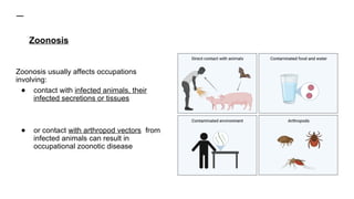 Zoonosis
Zoonosis usually affects occupations
involving:
● contact with infected animals, their
infected secretions or tissues
● or contact with arthropod vectors from
infected animals can result in
occupational zoonotic disease
 