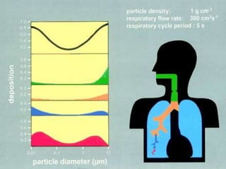 Occupational & Environmental Lung Diseases | Jindal Chest Clinic | PPTX
