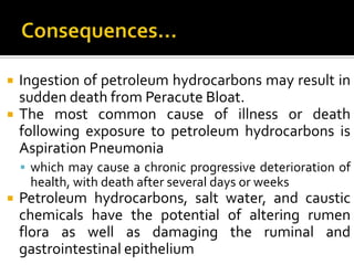 Consequences...Ingestion of petroleum hydrocarbons may result in sudden death from Peracute Bloat. The most common cause of illness or death following exposure to petroleum hydrocarbons is Aspiration Pneumoniawhich may cause a chronic progressive deterioration of health, with death after several days or weeksPetroleum hydrocarbons, salt water, and caustic chemicals have the potential of altering rumen flora as well as damaging the ruminal and gastrointestinal epithelium