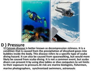 D ) Pressure

1) Caisson disease is better known as decompression sickness. It is a
condition that is caused from the precipitation of dissolved gases into
bubbles inside the body. This disease refers to a specific type of scuba
diving hazard. It can also be caused from spacewalking, but would more
likely be caused from scuba diving. It is not a common event, but scuba
divers can prevent it by using dive tables or dive computers to set limits
to their exposure to pressure.At risk are marine biologists, fishermen,
marine photographers, synchronized swimmers, astronauts

 