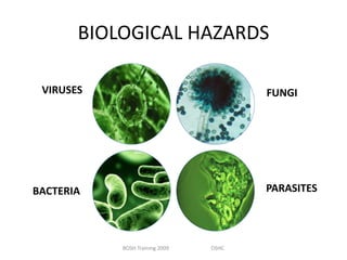 BIOLOGICAL HAZARDS
VIRUSES

FUNGI

PARASITES

BACTERIA

BOSH Training 2009

OSHC

 