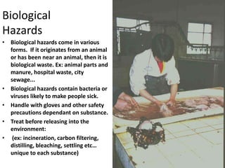Biological
Hazards
• Biological hazards come in various
forms. If it originates from an animal
or has been near an animal, then it is
biological waste. Ex: animal parts and
manure, hospital waste, city
sewage...
• Biological hazards contain bacteria or
viruses likely to make people sick.
• Handle with gloves and other safety
precautions dependant on substance.
• Treat before releasing into the
environment:
• (ex: incineration, carbon filtering,
distilling, bleaching, settling etc…
unique to each substance)

 