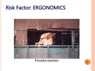 Forceful exertion
Risk Factor: ERGONOMICS
23
 