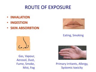 Occupational health: | PPTX