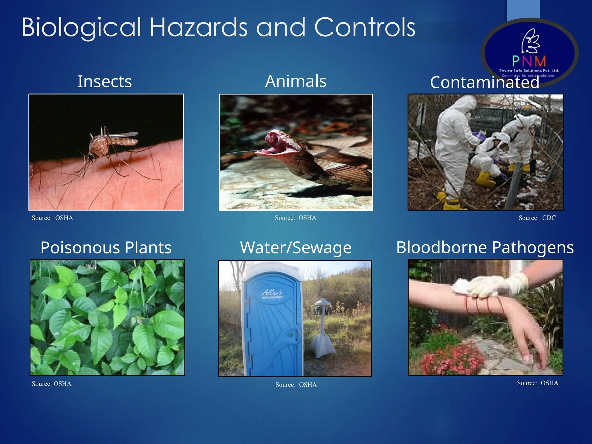 Occupational Health & Indus Hygiene.pptx