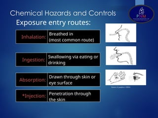 Occupational Health & Indus Hygiene.pptx