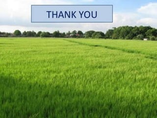 Occupational Health Lecture